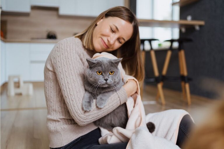 My Boyfriend Made a Joke About My Hospitalized Cat and I Can’t Get Over It