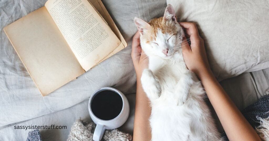 an orange and white cat relaxes in the arms of it's owner...showing what hygge means.