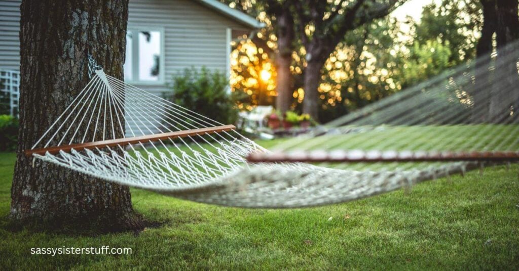 an outdoor space with a large tree and a hammock.